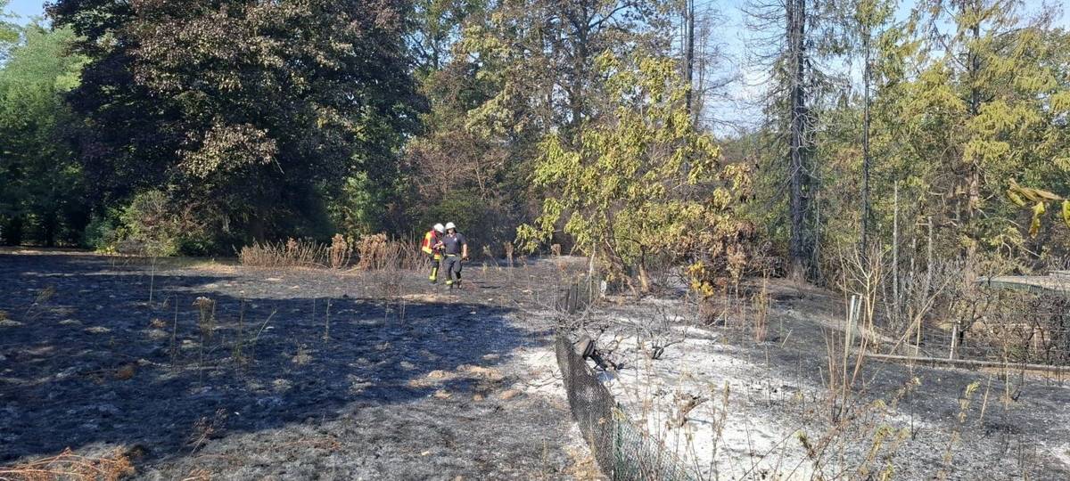 Aufräumarbeiten nach Feuer in Sonsbecker Tüschenwald