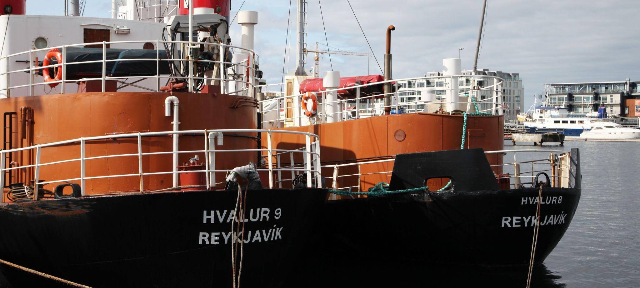 Walfang in Island