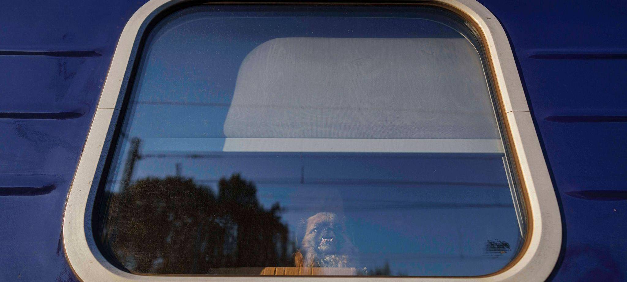 Polen alarmiert nach Angriff auf Zug von Kiew nach Warschau