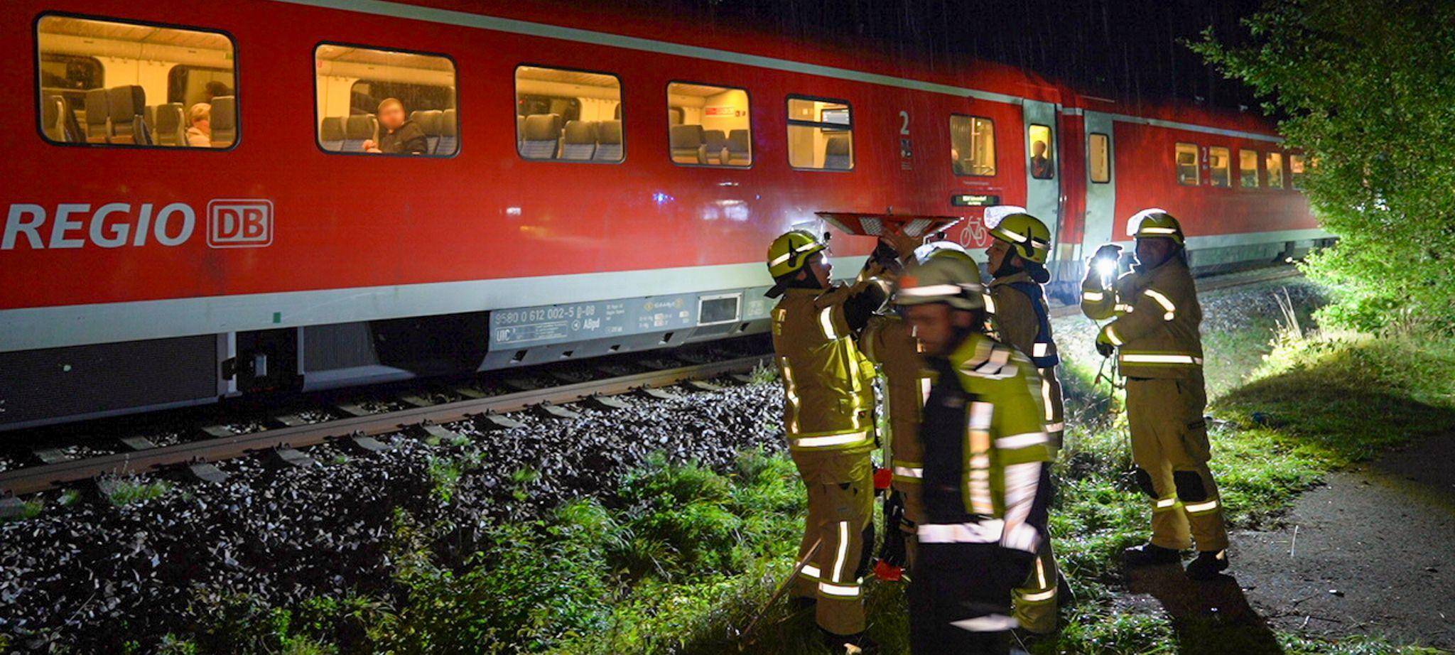 Regionalzug rammt umgestürzten Baum