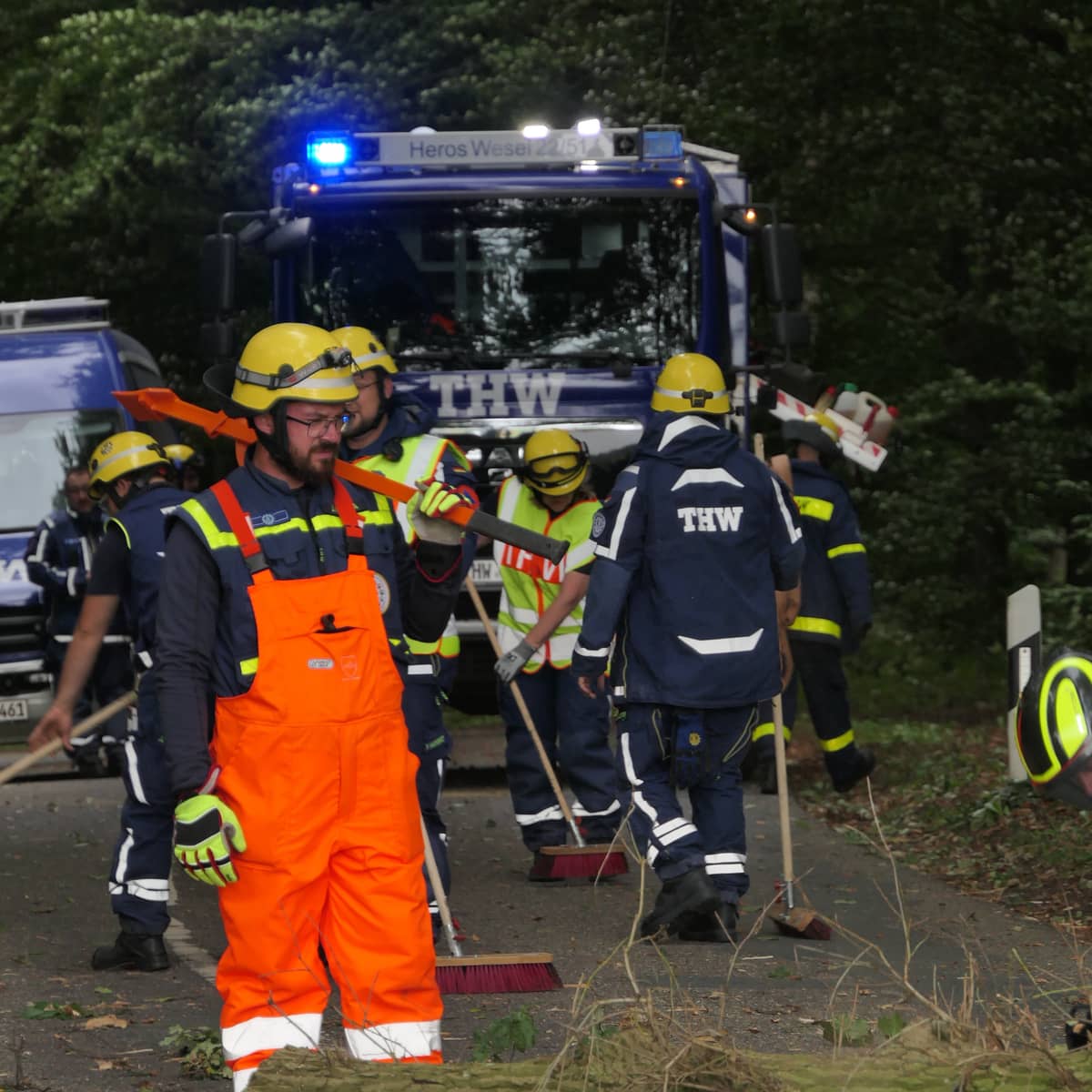 THW sprengt vier Bäume im Tüschenwald in Sonsbeck - Radio K.W.