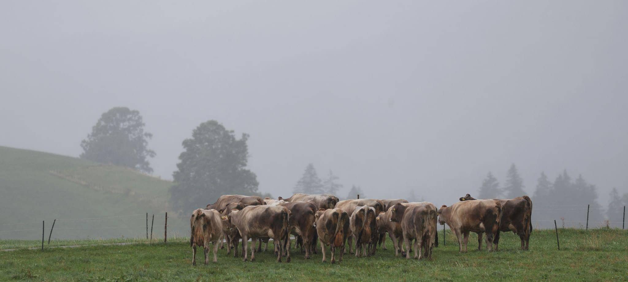 Wetter in Bayern