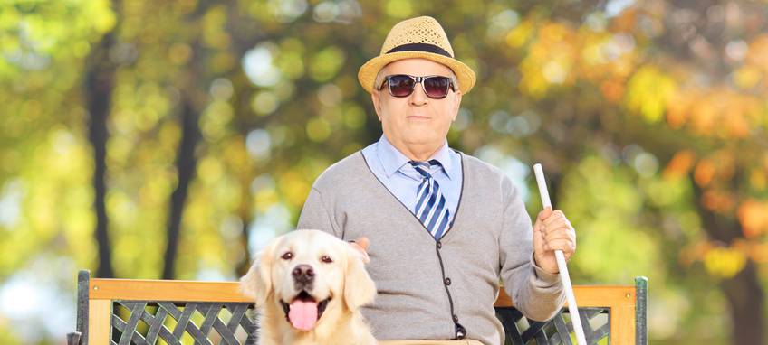 Steuerbefreiung für Therapiehunde in Wesel