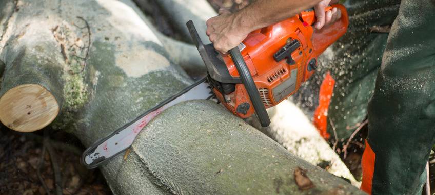 Baumfällarbeiten in Hünxe