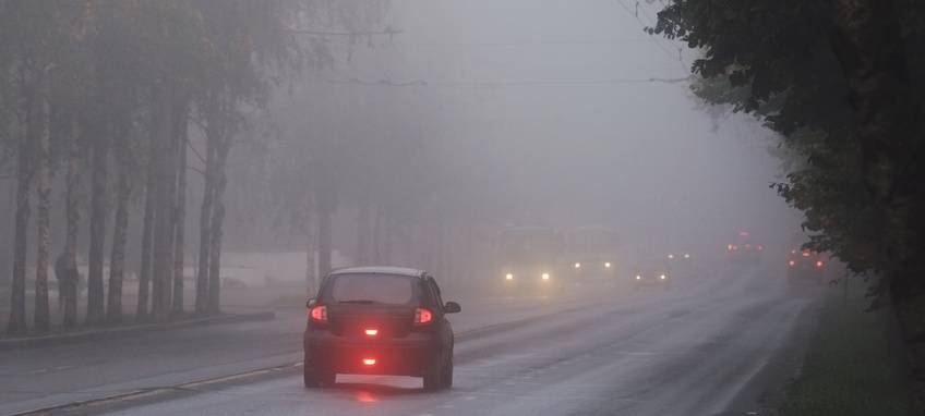 Nebel am Niederrhein
