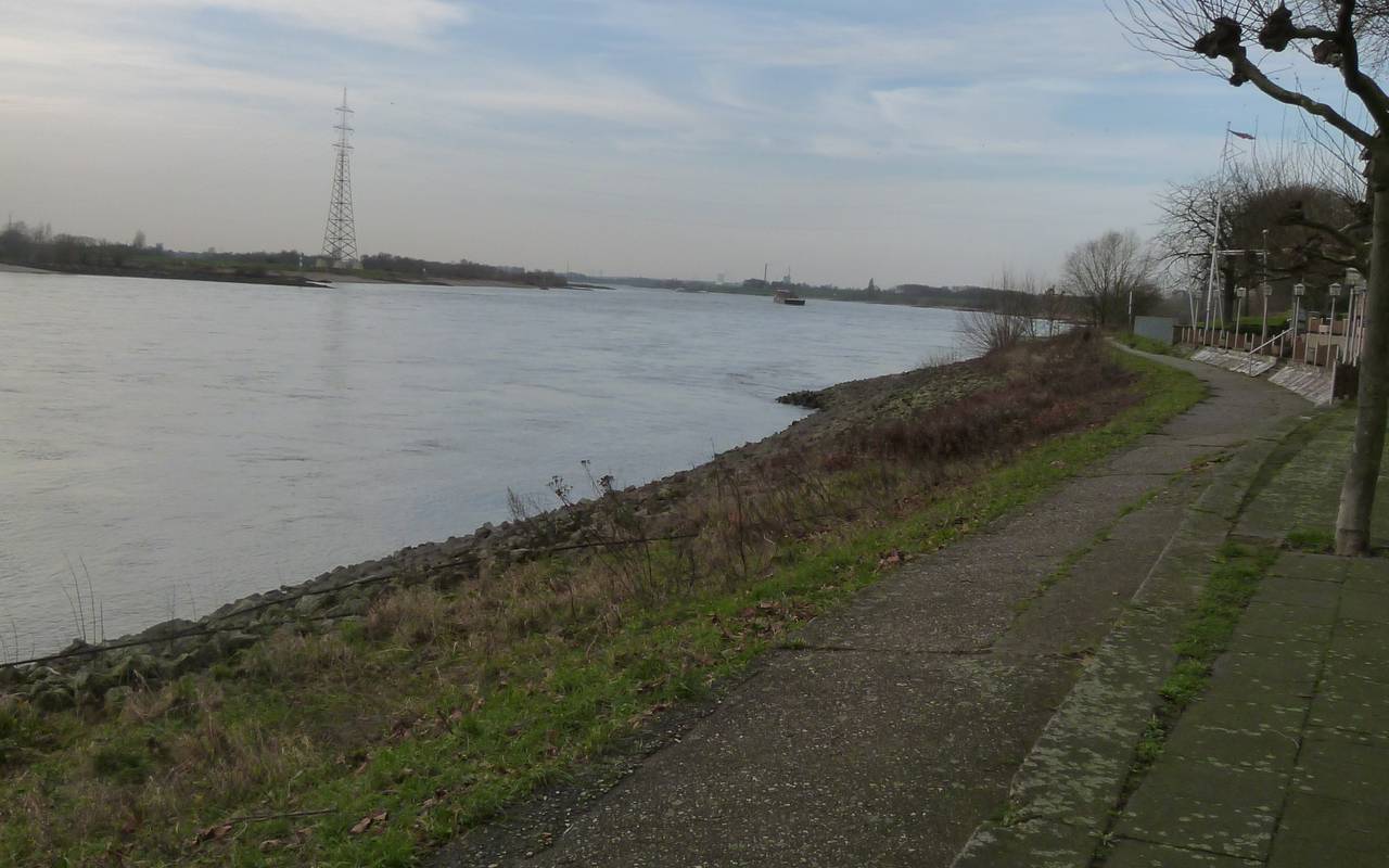 Rhein in Götteswickerhamm