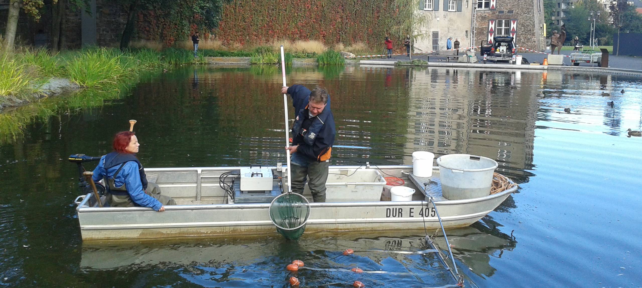 Dinslaken: Umsiedlung von Fischen aus dem Ententeich