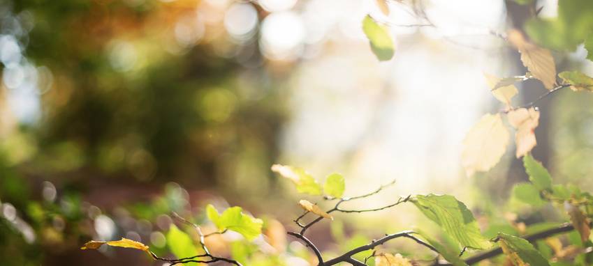 Moerser Herbst mit verkaufsoffenem Sonntag
