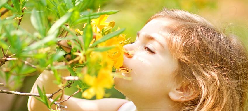 Frühlingsfeste im Kreis Wesel - u.a. in Moers und Dinslaken