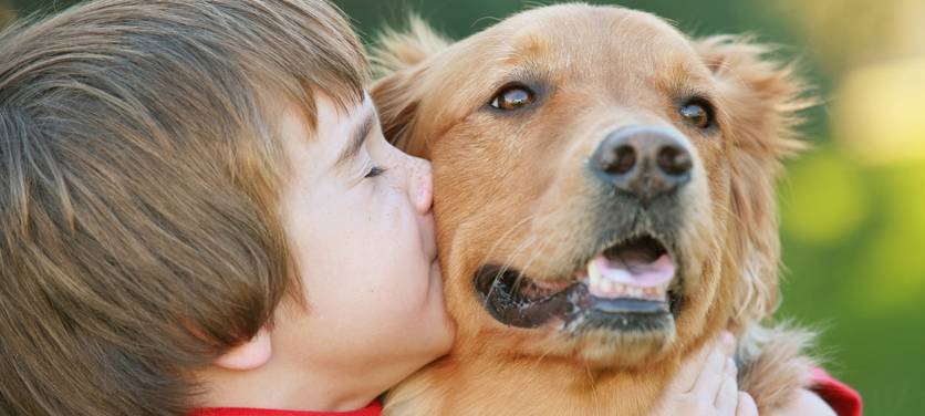 Tierheime im Kreis Wesel sind gerade besonders voll