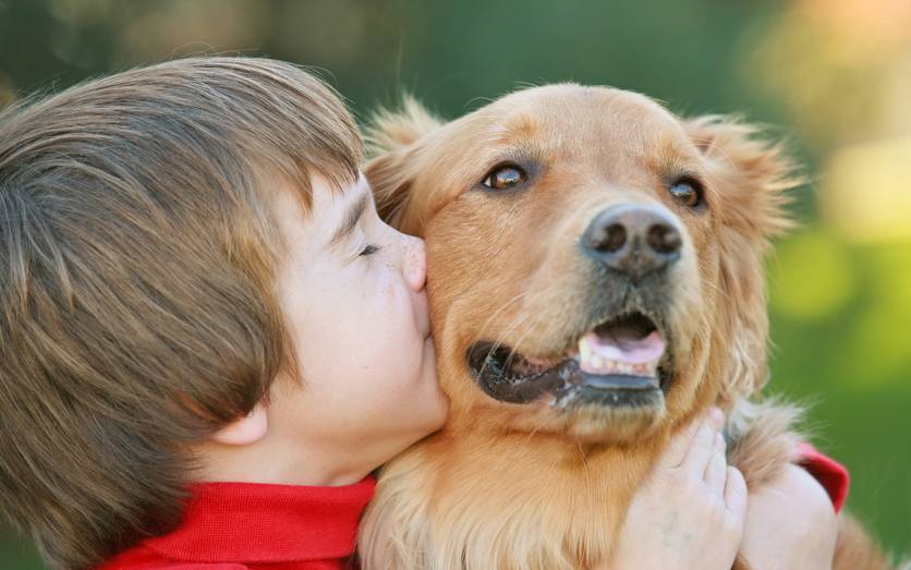 In Hamminkeln sollen Kosten für Hunde steigen Radio K.W.