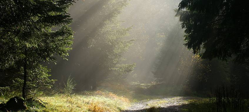 Neuer Fernwanderweg Hohe Mark Steig ist eröffnet worden