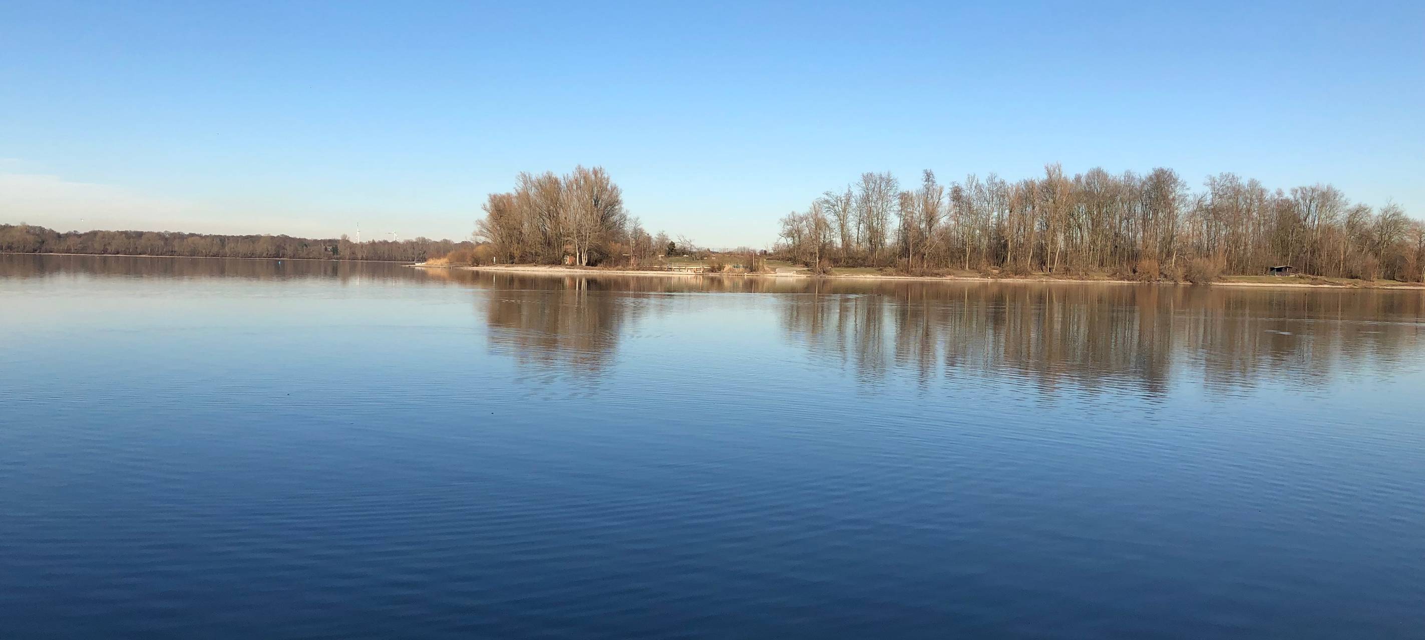 Warnschilder vor Blaualgen am Weseler Auesee