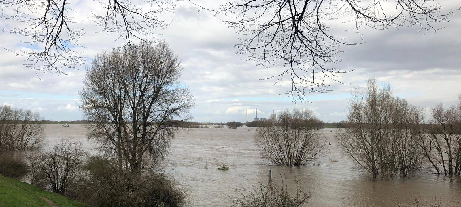 Rhein-Hochwasser: Keine Probleme für die Schifffahrt