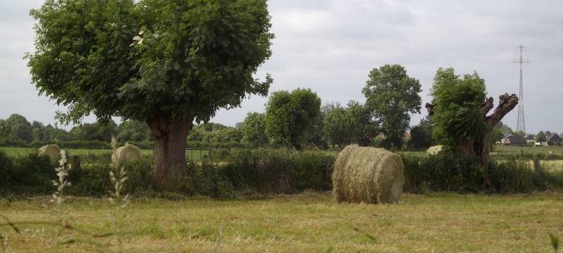 Mommbachwiesen in Voerde