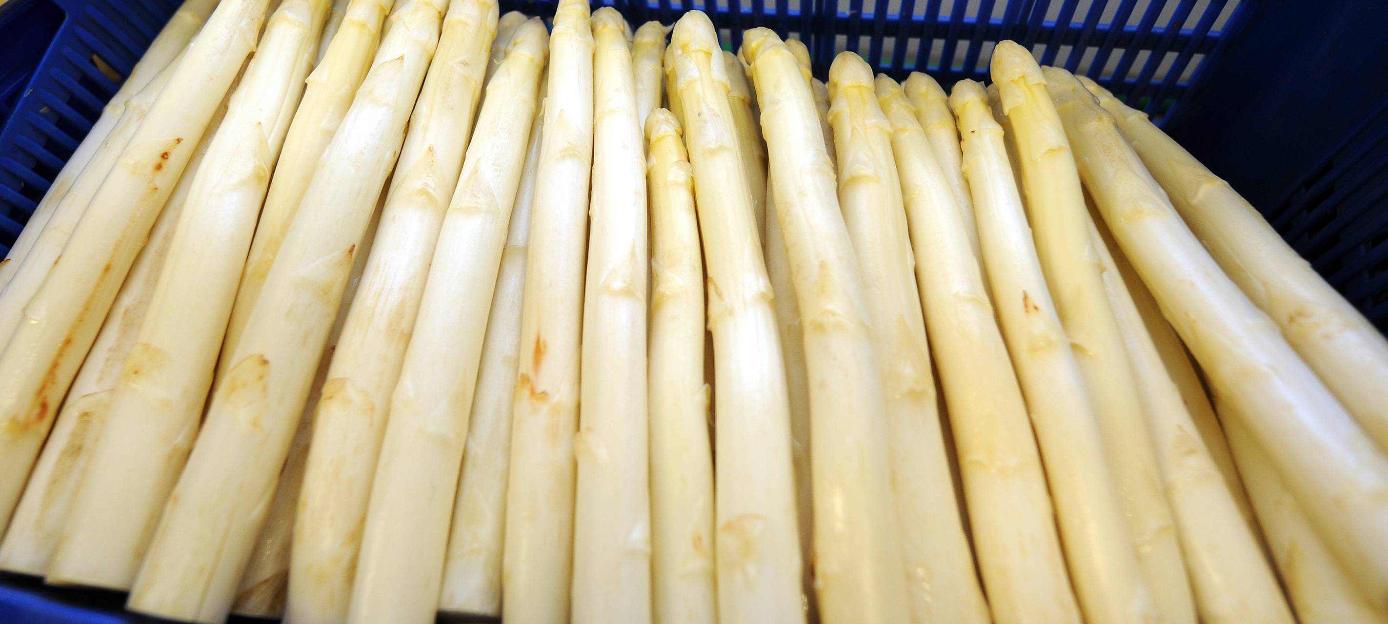 Im Kreis Wesel hat die Spargelernte begonnen