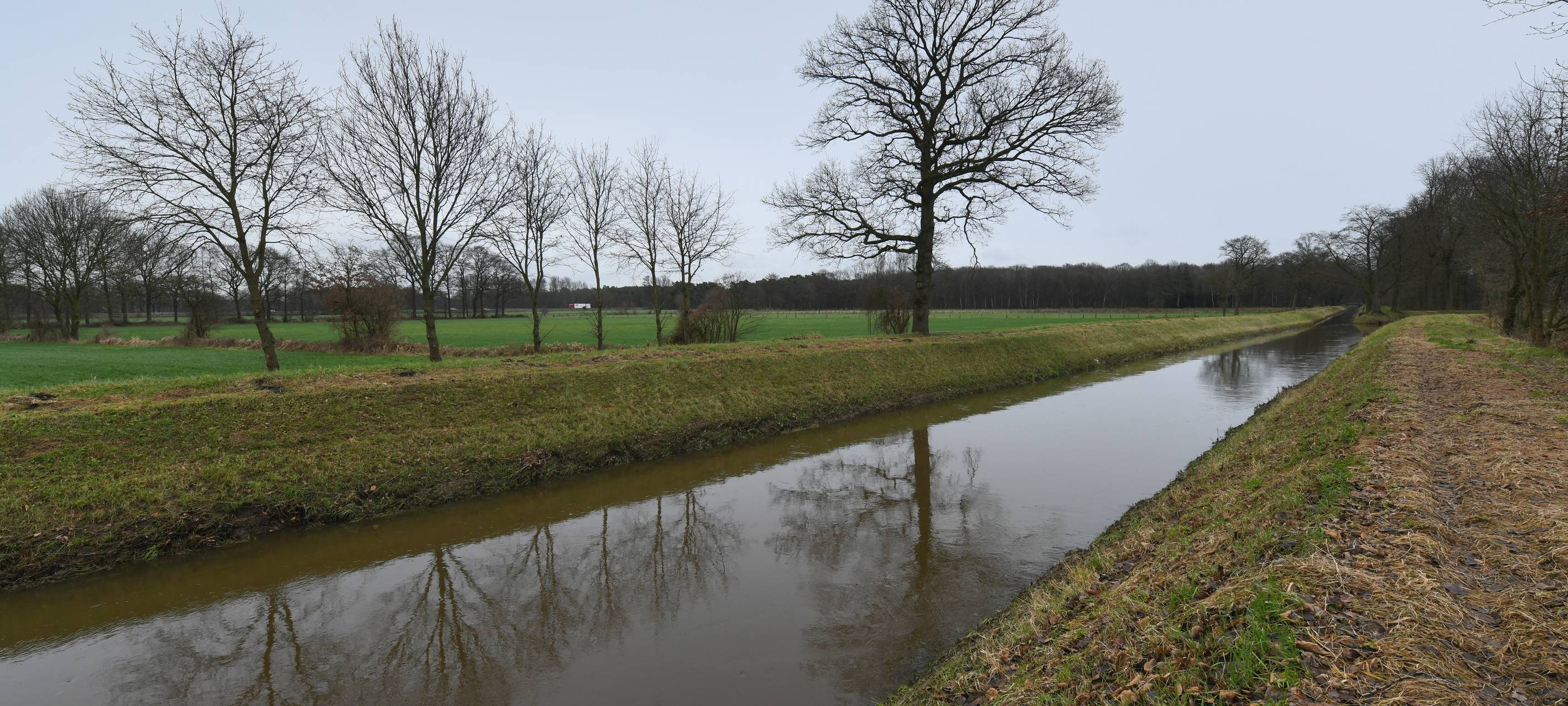 Der Isselverband ist für die Fischrettung im Fluss zuständig