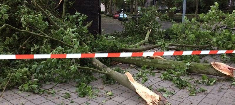 37 Einsätze wegen Sturms im Kreis Wesel