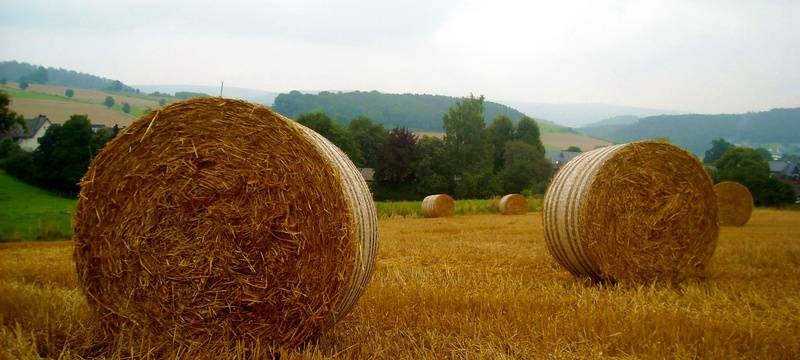 Landwirte aus dem Kreis informieren sich über Amprion-Stromtrasse
