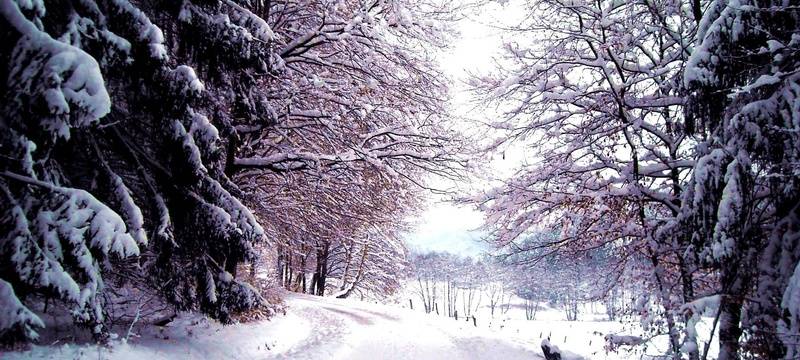 Weiße Weihnachten bleiben im Kreis Wesel eine Seltenheit
