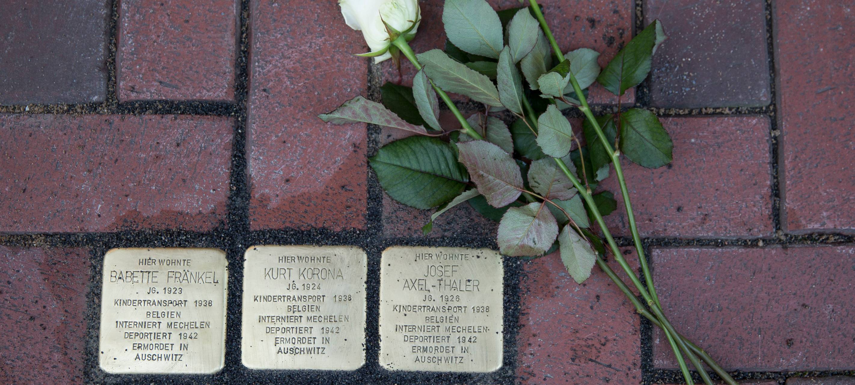 In Wesel werden die vorerst letzten Stolpersteine verlegt