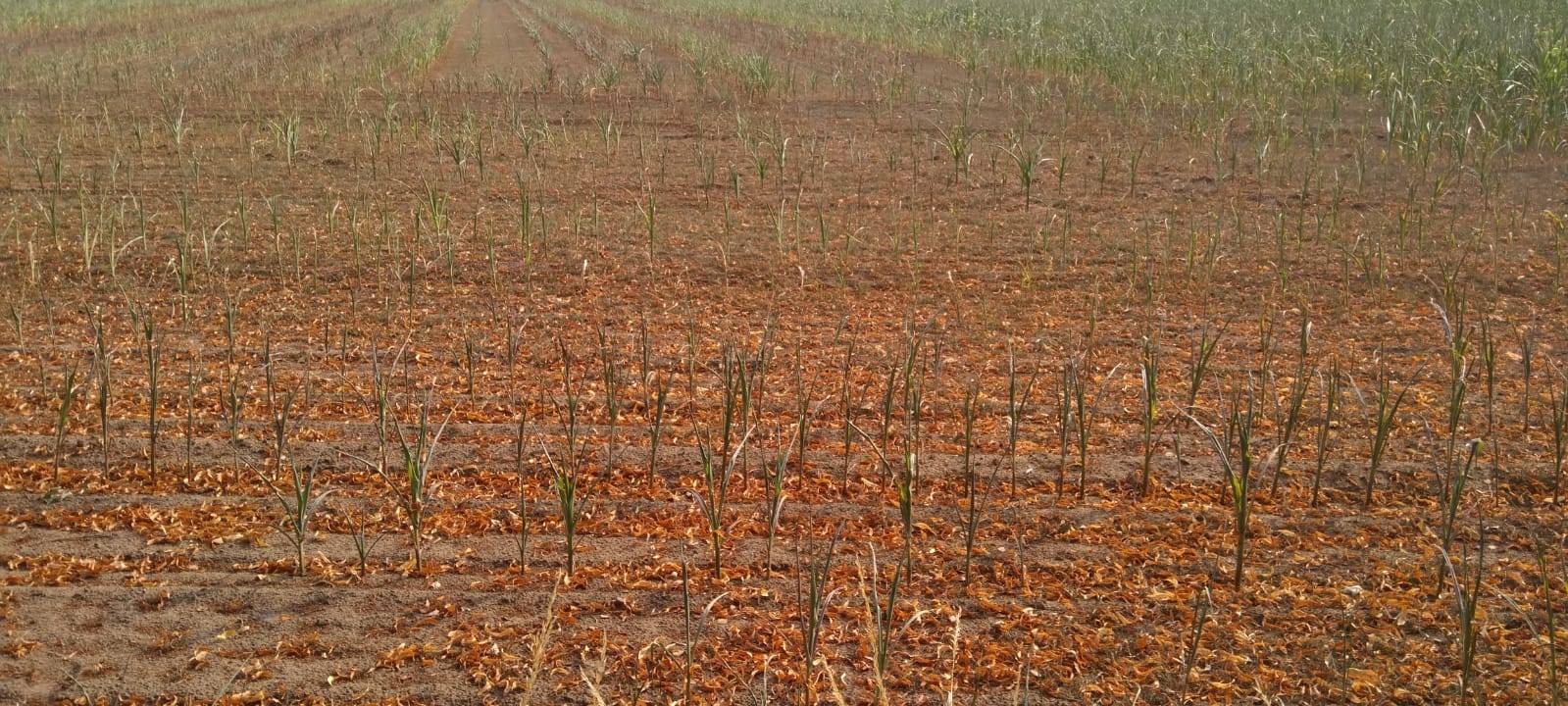 Kreisbauernschaft Wesel fordert bessere Bedingungen