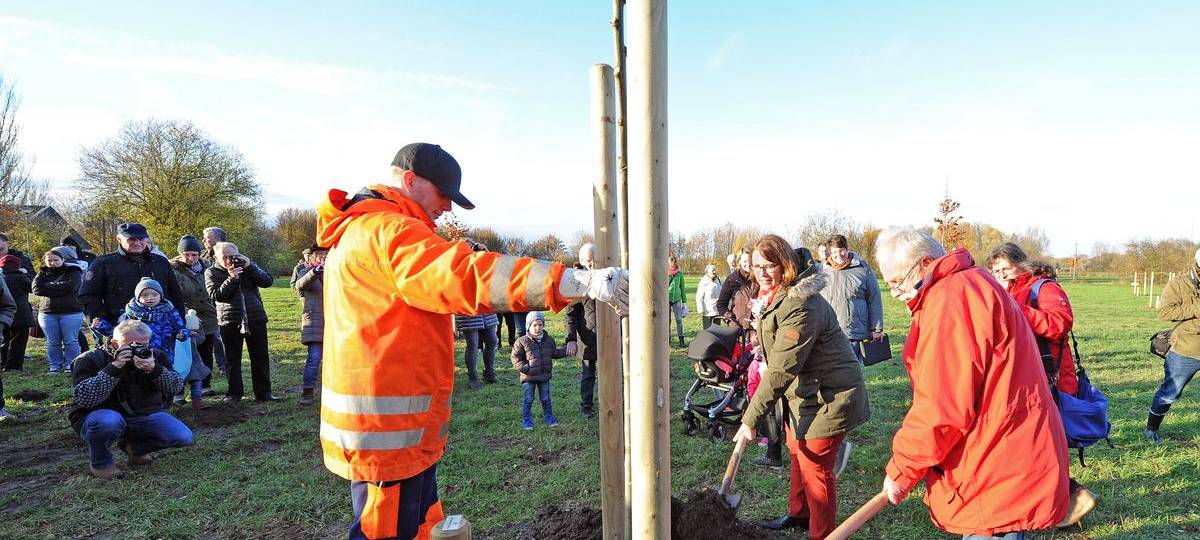 Im Weseler Ereigniswald sind wieder Plätze frei