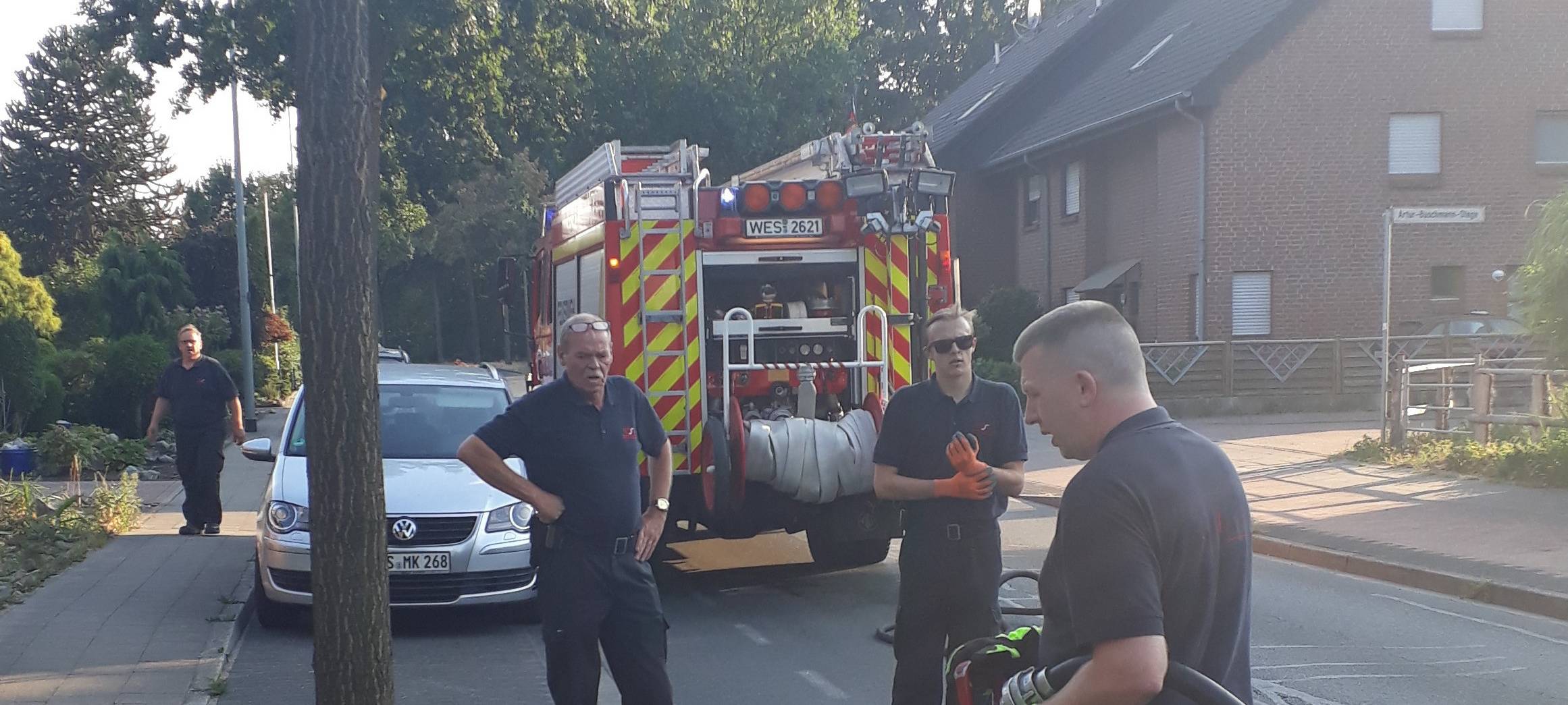 Extreme Hitze: Städte und Gemeinden brauchen Hilfe beim Gießen der Bäume