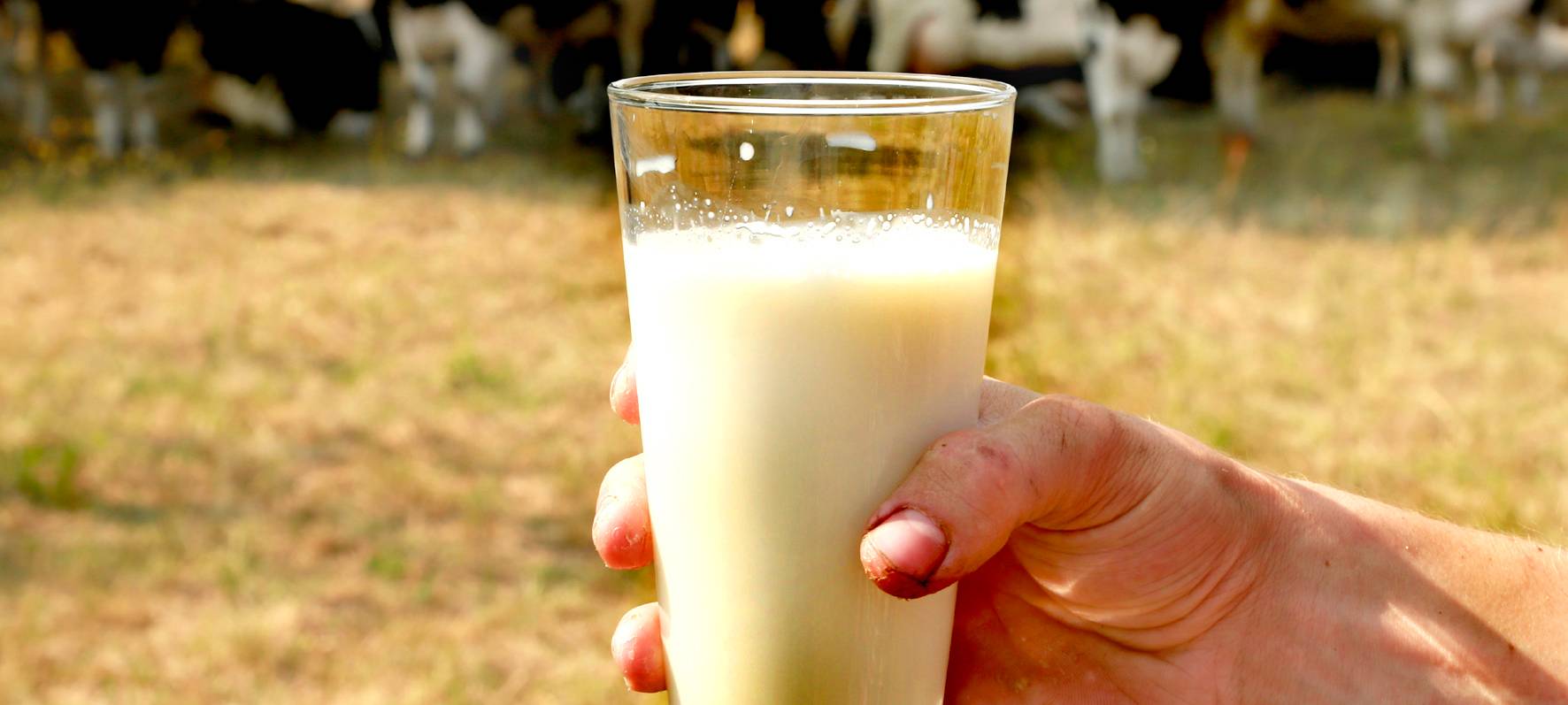 Immer mehr Milchbauer im Kreis Wesel geben auf