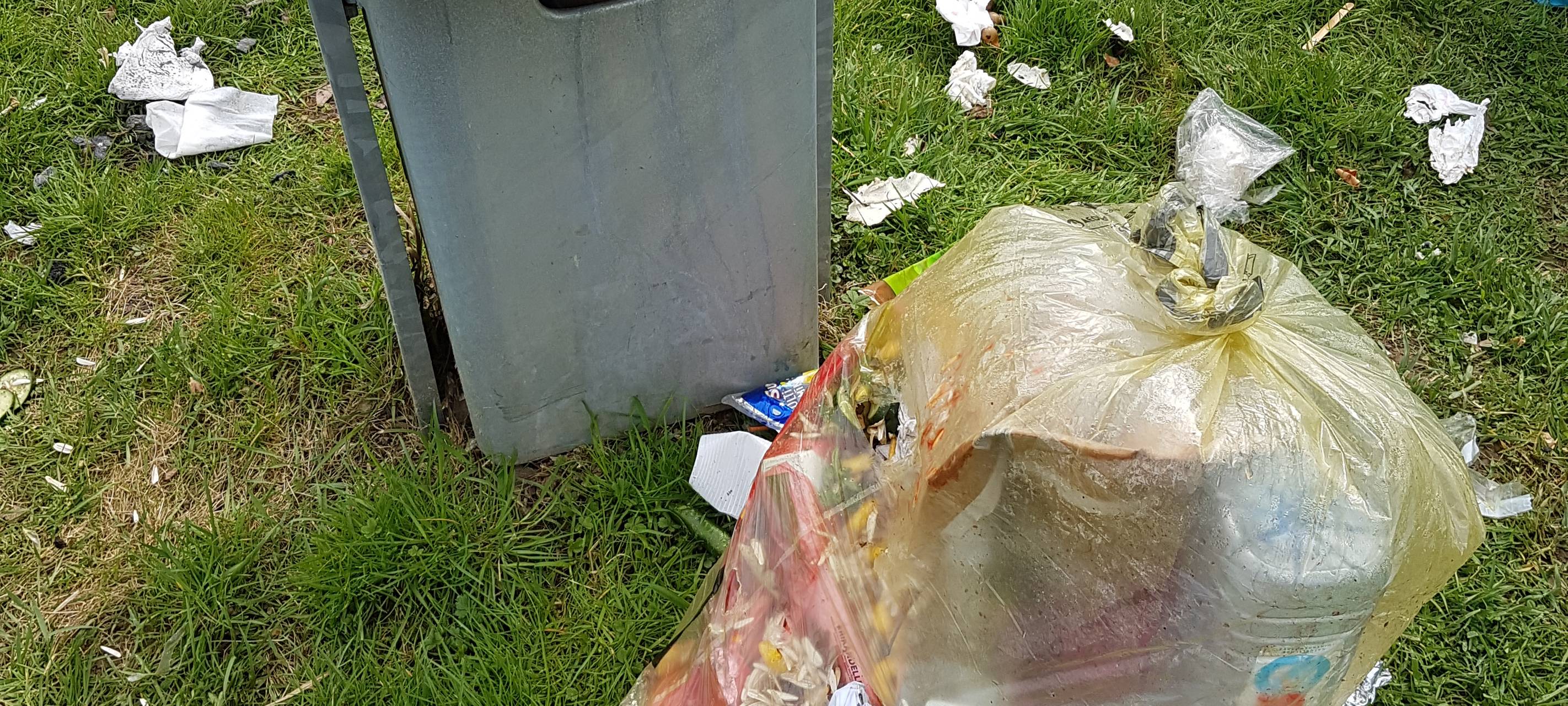 Müll am Rheinufer: Neuer Mängelmelder für Emscher und Lippe