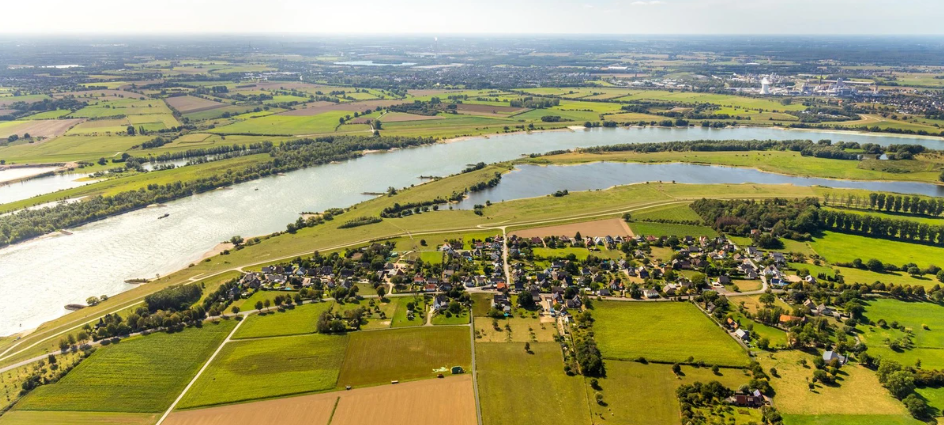 Fake-Adler vertreiben Vögel von Stromtrasse