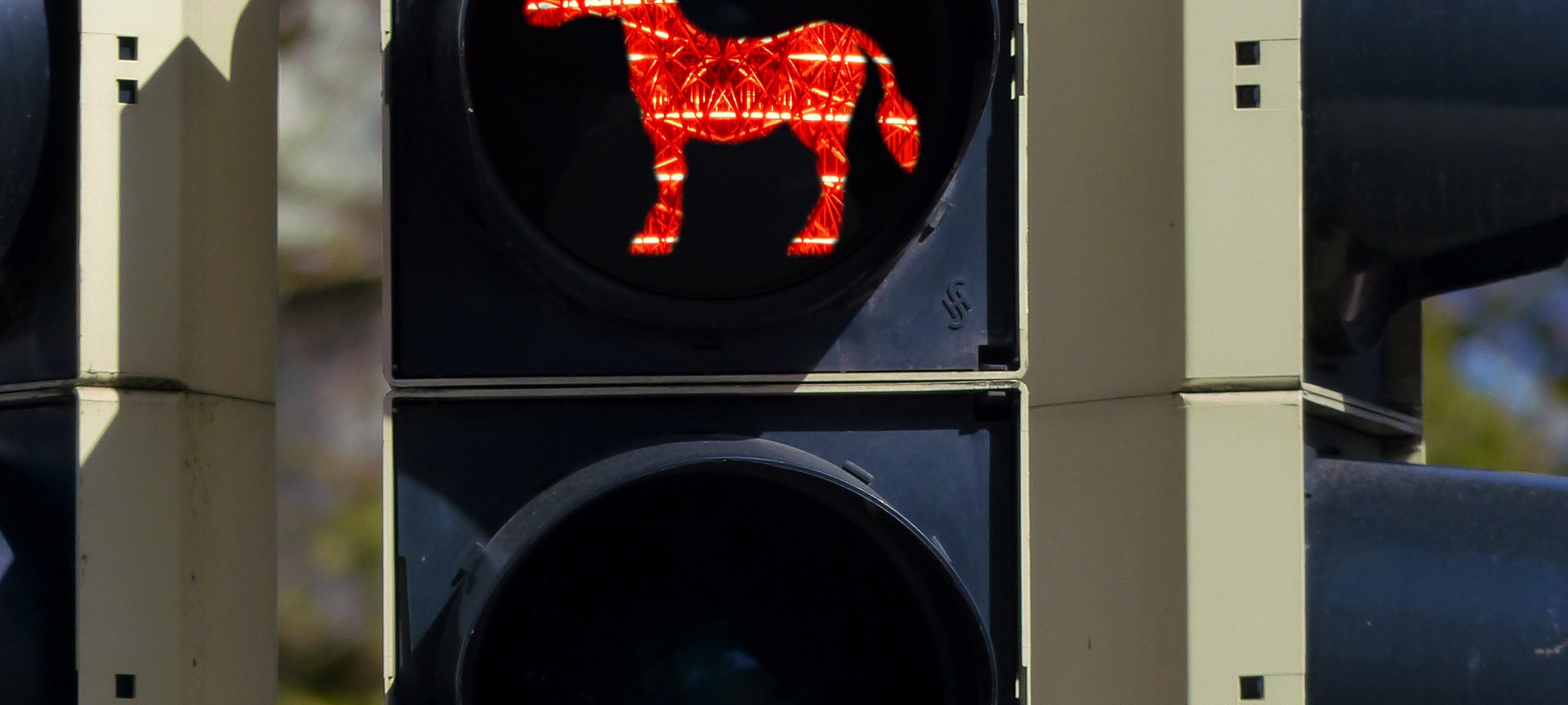 Esel-Ampel in Wesel soll am Freitag eingeweiht werden